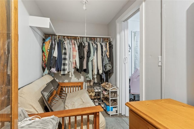 224 N Allen St, Harrison, AR 72601 - view of spacious closet