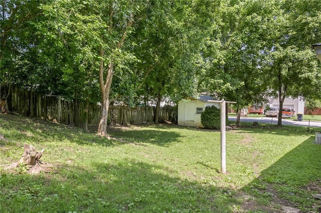 224 N Allen St, Harrison, AR 72601 - view of yard with a shed
