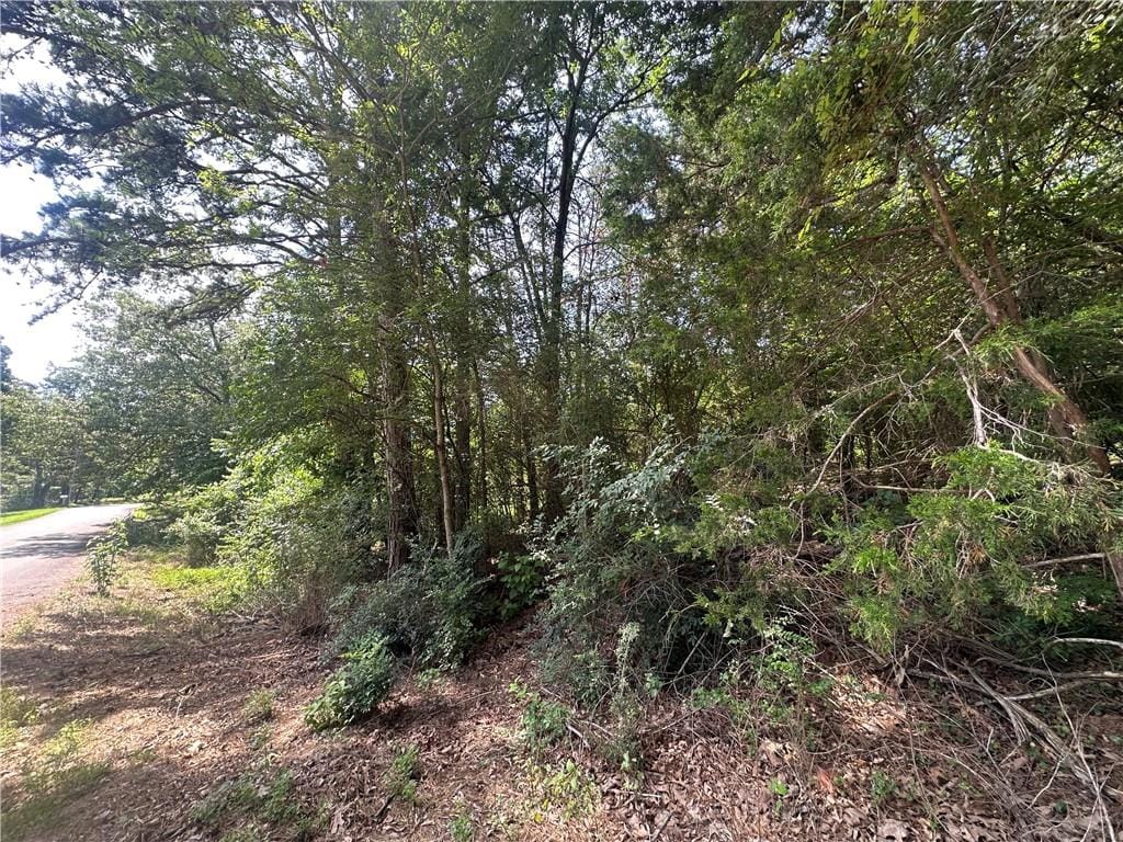 Hill Blvd, London, AR 72847 - photo 1