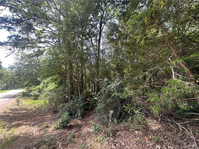 Hill Blvd, London, AR 72847