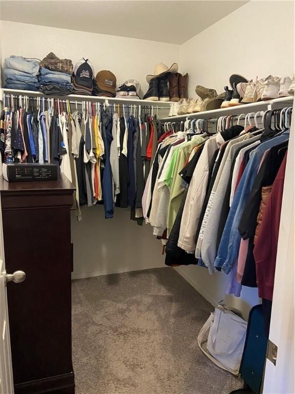 808 NW 69th Ave, Bentonville, AR 72713 - spacious closet with carpet floors
