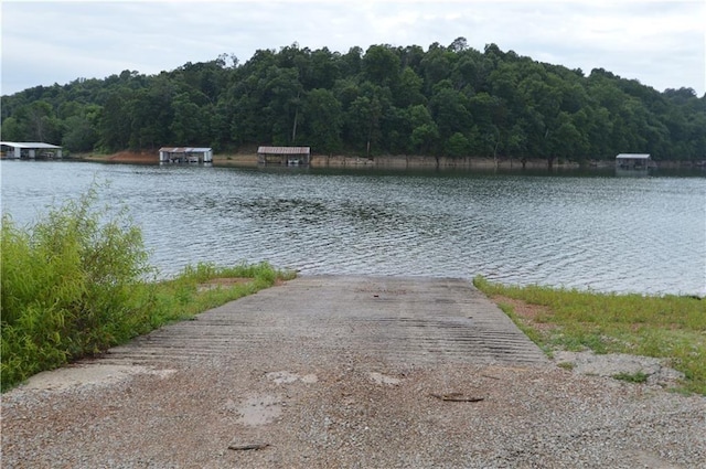 8096 Magnolia Ln, Rogers, AR 72756 - water view featuring a boat ramp and a forest