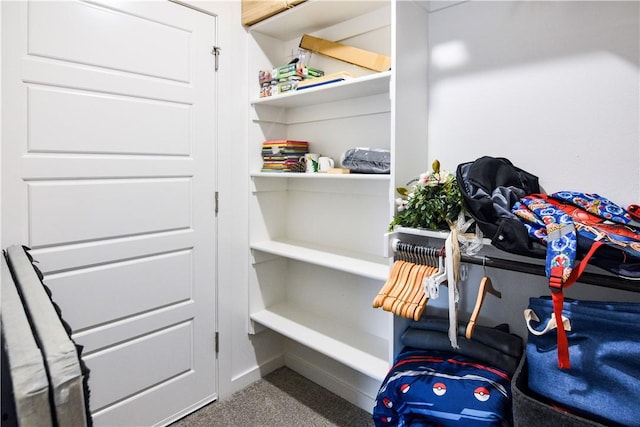 2756 Cassidy Ave, Springdale, AR 72764 - view of storage area