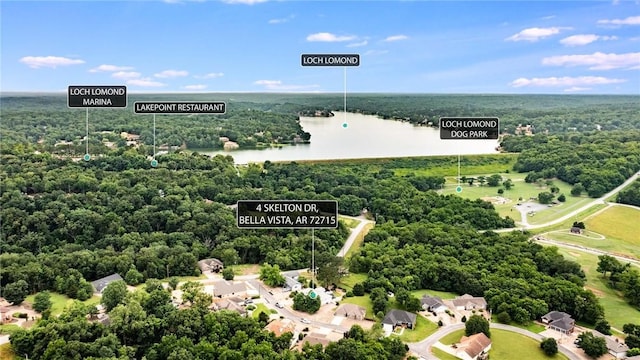4 Skelton Dr, Bella Vista, AR 72715 - bird's eye view of a nearby body of water and a forest