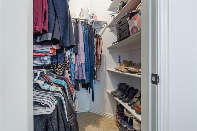 3405 SW Picasso Blvd, Bentonville, AR 72712 - view of spacious closet