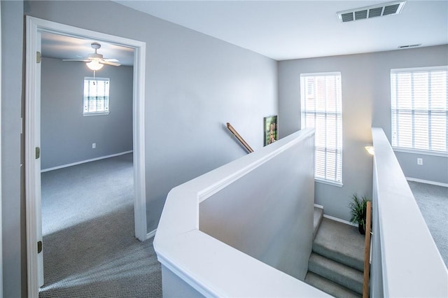 6682 Firefly Catch Ave, Springdale, AR 72762 - stairs with carpet and ceiling fan