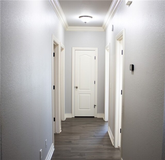 4826 W Plymouth Rock Pl, Fayetteville, AR 72704 - photo 25