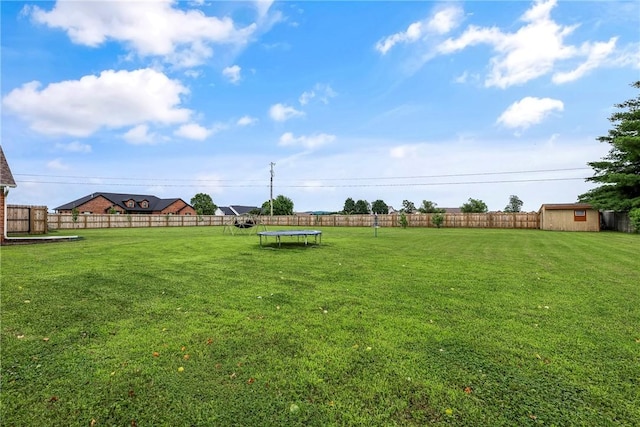 372 Niagara St, Elm Springs, AR 72762 - fenced backyard featuring a trampoline and a shed