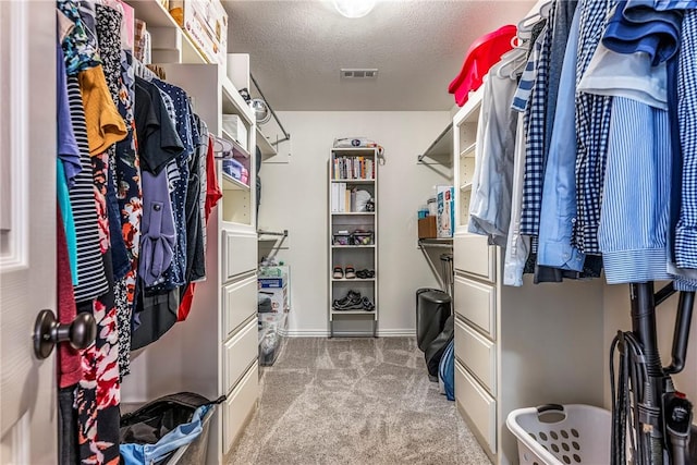 372 Niagara St, Elm Springs, AR 72762 - spacious closet featuring carpet