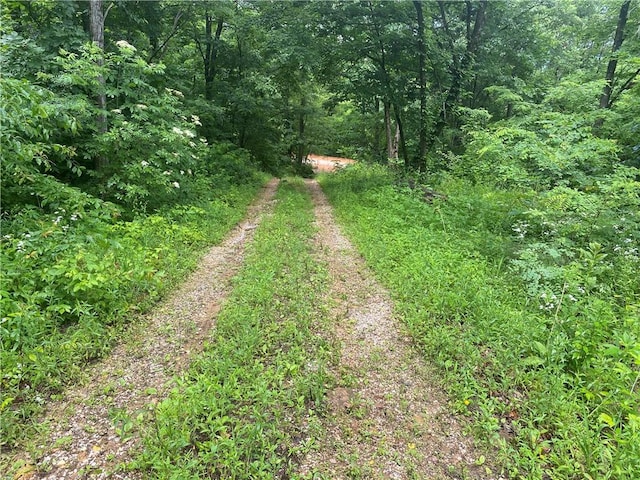 1554 NC-6020 Rd, Jasper, AR 72641 - photo 1