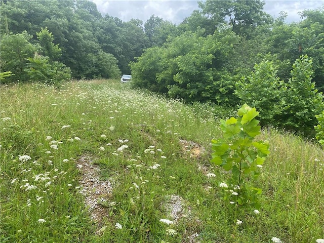1554 NC-6020 Rd, Jasper, AR 72641 - photo 2