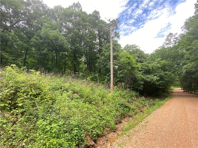 1554 NC-6020 Rd, Jasper, AR 72641 - photo 4