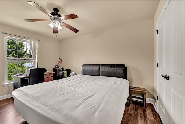 4300 Limestone Ave, Bentonville, AR 72712 - bedroom with wood finished floors, a closet, and a ceiling fan
