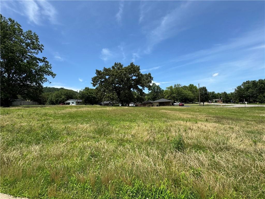 1605 N Church, Atkins, AR 72823 - photo 2