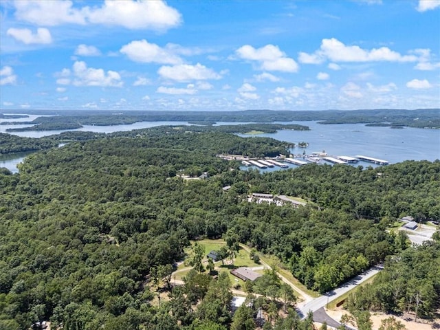 20490 Rocky Branch Rd, Rogers, AR 72756 - aerial view of a heavily wooded area and a large body of water