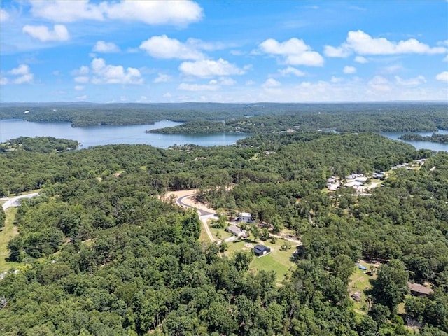 20490 Rocky Branch Rd, Rogers, AR 72756 - aerial view of a forest and a large body of water