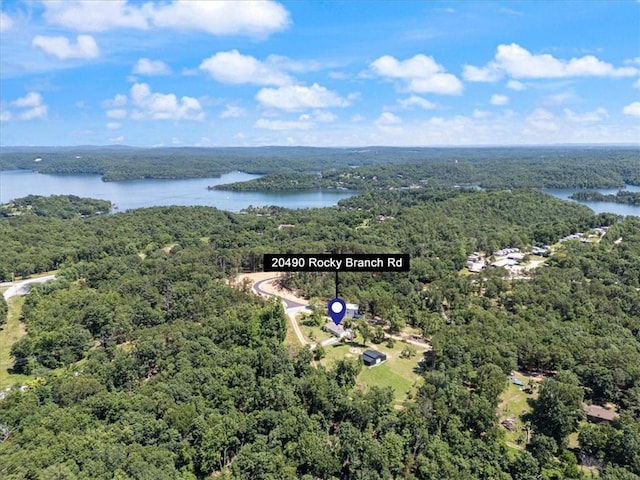 20490 Rocky Branch Rd, Rogers, AR 72756 - bird's eye view of a forest and a large body of water