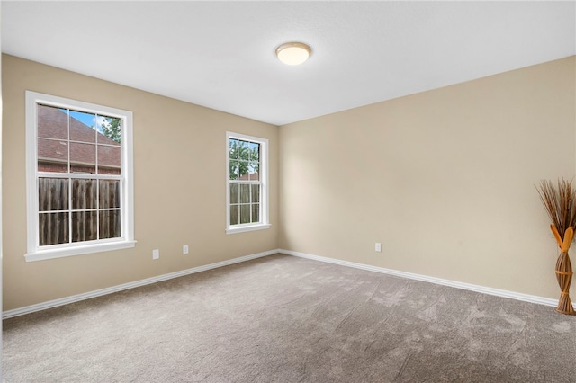 4465 Warwick Cv, Springdale, AR 72762 - unfurnished room featuring carpet and plenty of natural light