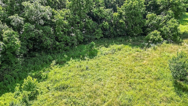 Keller Rd, Centerton, AR 72719 - photo 16