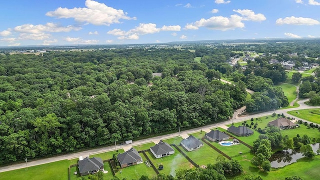 901 Sugar Creek Rd, Pea Ridge, AR 72751 - photo 46