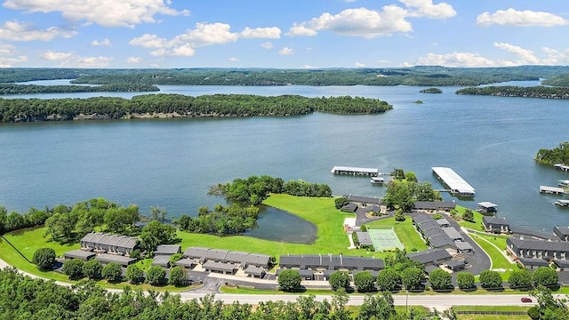 16841 Heritage Bay Rd Unit E-4, Rogers, AR 72756 - aerial view of a nearby body of water
