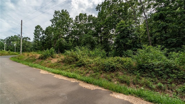 LOT12 Grampian Dr, Bella Vista, AR 72715