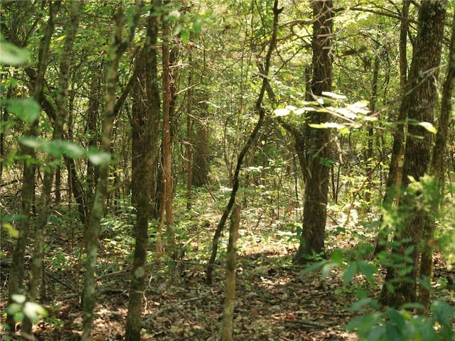 201 E Bo Peep Cir, Horseshoe Bend, AR 72512