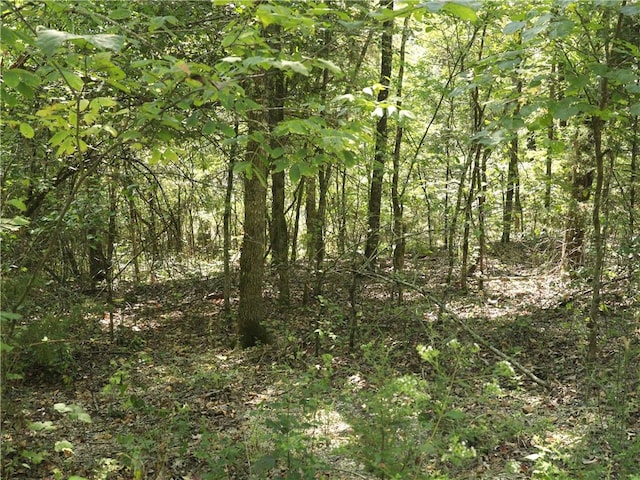 201 E Bo Peep Cir, Horseshoe Bend, AR 72512