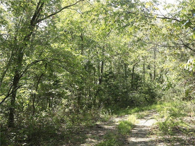 201 E Bo Peep Cir, Horseshoe Bend, AR 72512