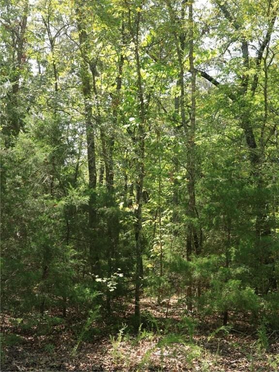 201 E Bo Peep Cir, Horseshoe Bend, AR 72512