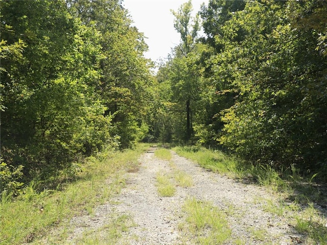 201 E Bo Peep Cir, Horseshoe Bend, AR 72512