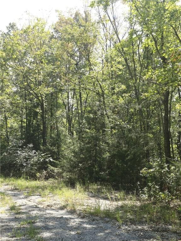 201 E Bo Peep Cir, Horseshoe Bend, AR 72512