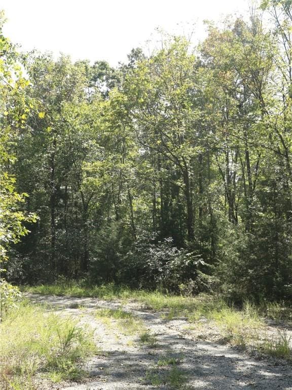 201 E Bo Peep Cir, Horseshoe Bend, AR 72512