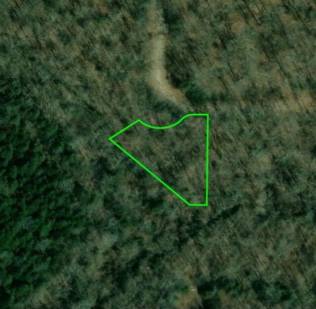 201 E Bo Peep Cir, Horseshoe Bend, AR 72512
