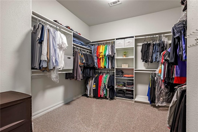 5100 SW Blaire Mont Rd, Bentonville, AR 72713 - spacious closet with carpet