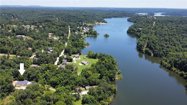 13734 Canal St, Rogers, AR 72758 - aerial view of a forest and a nearby body of water
