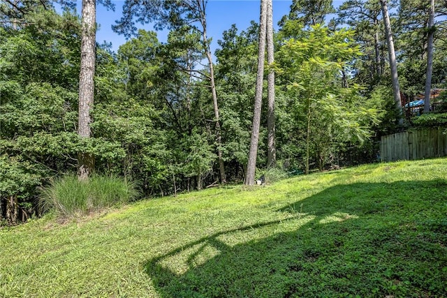 16101 Hickory Dr, Rogers, AR 72756 - view of yard