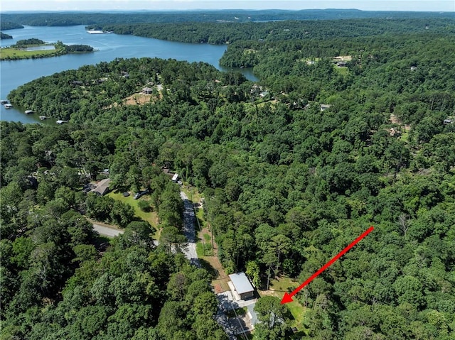 16101 Hickory Dr, Rogers, AR 72756 - aerial view of property's location featuring a forest and a nearby body of water