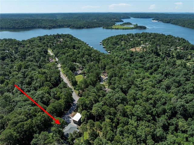 16101 Hickory Dr, Rogers, AR 72756 - aerial view of a heavily wooded area and a large body of water