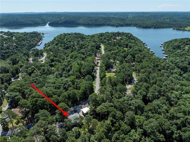16101 Hickory Dr, Rogers, AR 72756 - aerial view of property's location with a heavily wooded area and a large body of water