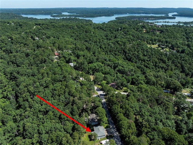 16101 Hickory Dr, Rogers, AR 72756 - aerial view of property's location with a heavily wooded area and a nearby body of water