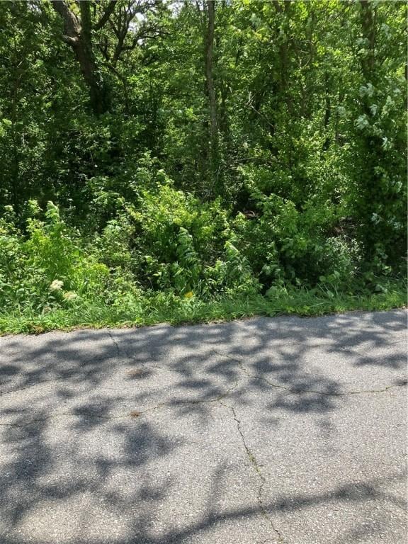 Miser, Pea Ridge, AR 72751 - photo 2
