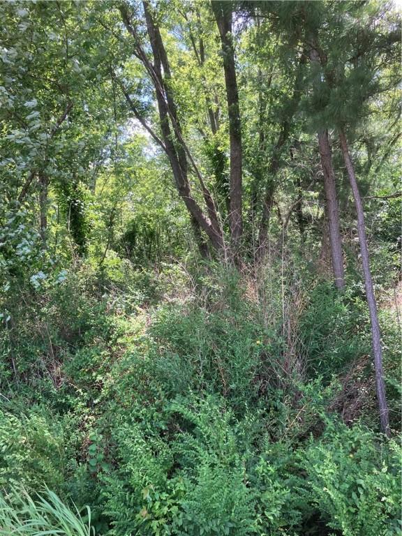 Miser, Pea Ridge, AR 72751 - photo 3