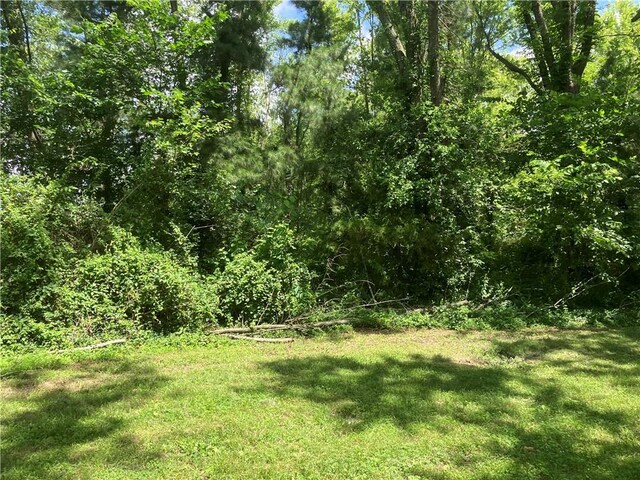 Miser, Pea Ridge, AR 72751 - photo 8