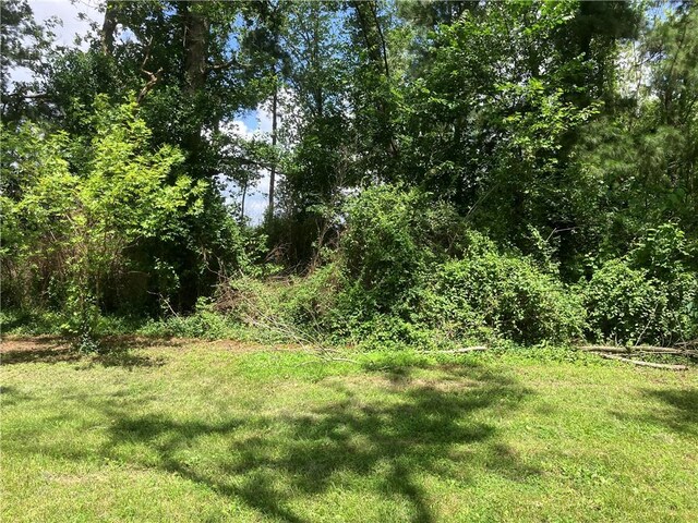 Miser, Pea Ridge, AR 72751 - photo 9