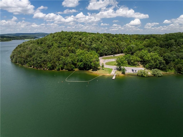 8252 Larue Rd, Rogers, AR 72756 - drone / aerial view of a forest and a nearby body of water