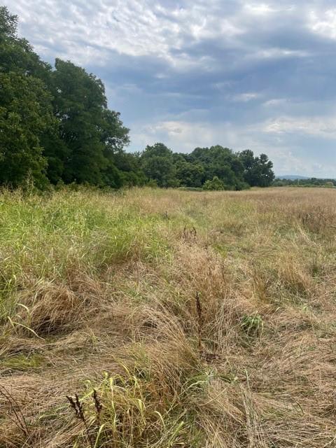 N/A, Goshen, AR 72701 - photo 1