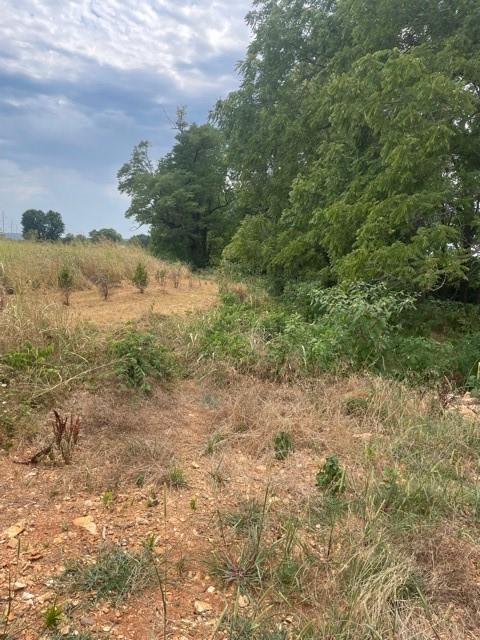 N/A, Goshen, AR 72701 - photo 3
