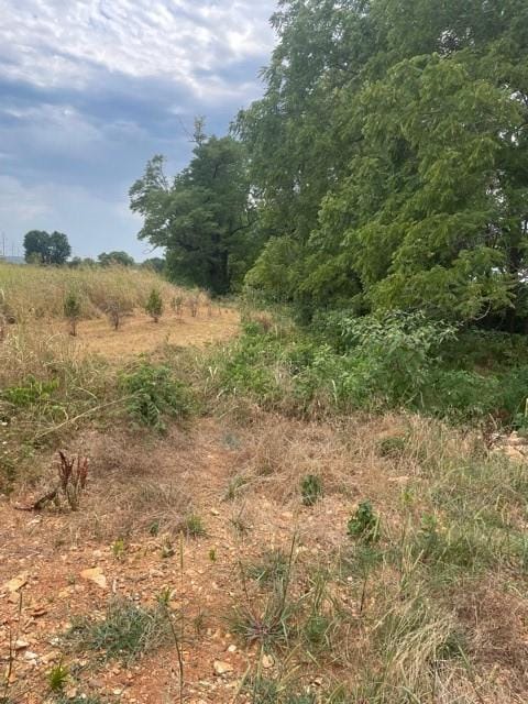 N/A, Goshen, AR 72701 - photo 3