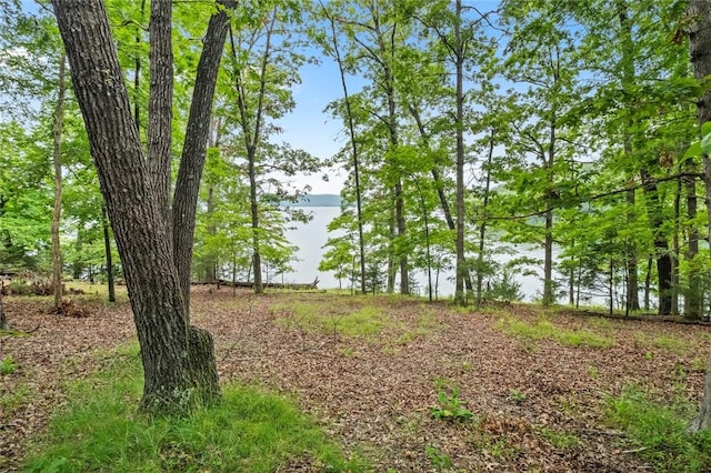 150 Jackson Cove Cres, Eureka Springs, AR 72631 - water view